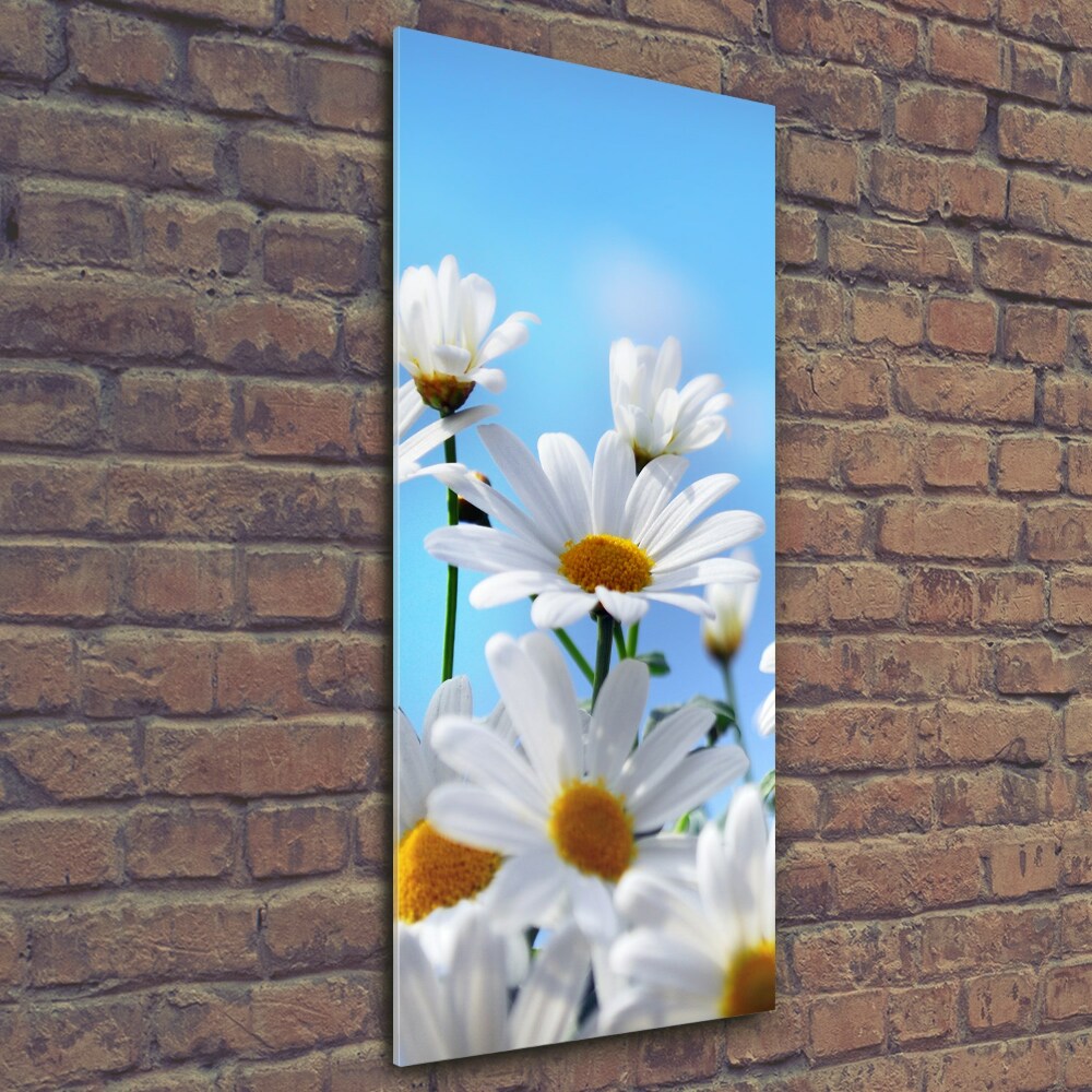 Glass art picture Daisy