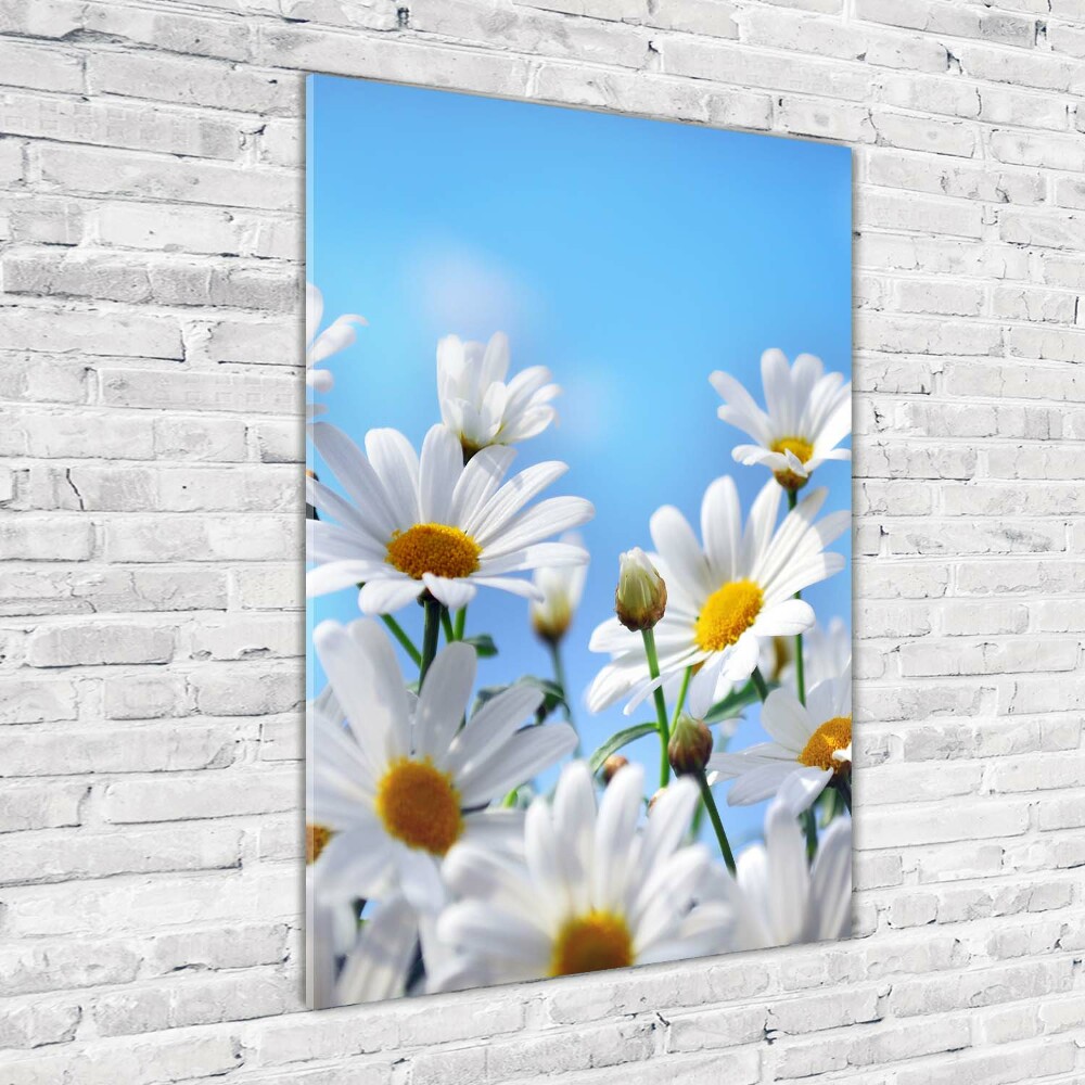 Glass art picture Daisy