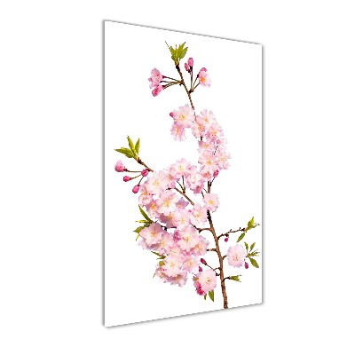 Print on a a glass Cherry blossoms