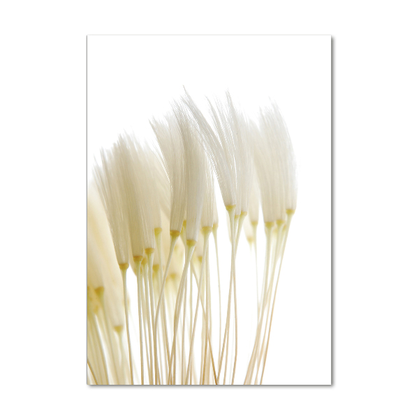 Print on a a glass Dandelion seeds