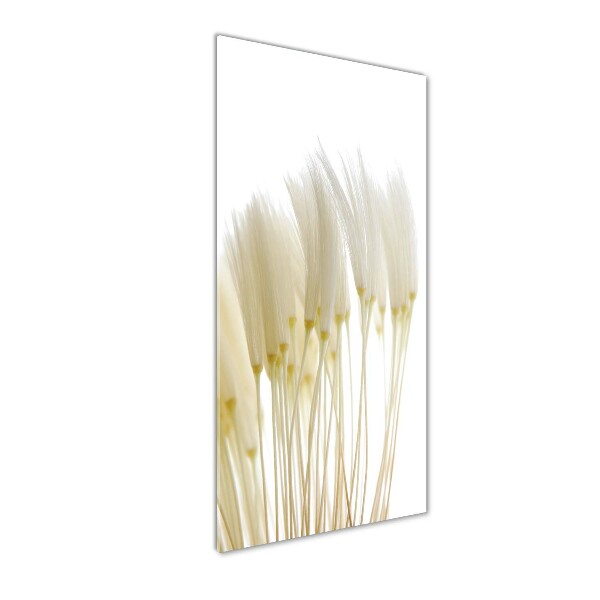 Print on a a glass Dandelion seeds