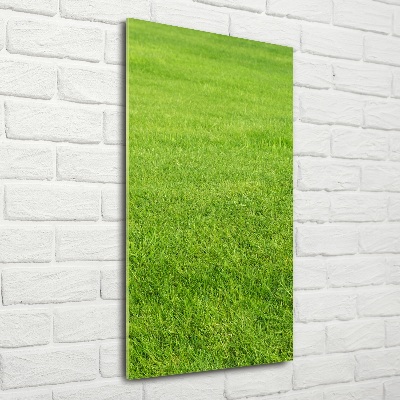 Glass wall art green grass