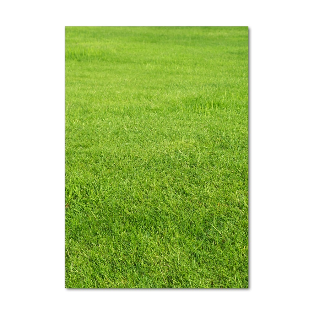 Glass wall art green grass