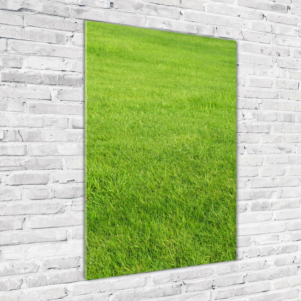 Glass wall art green grass