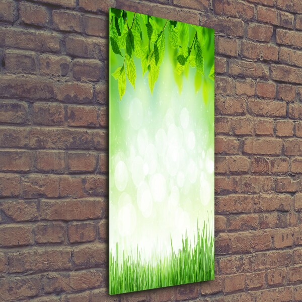 Print on a a glass Leaves and grass