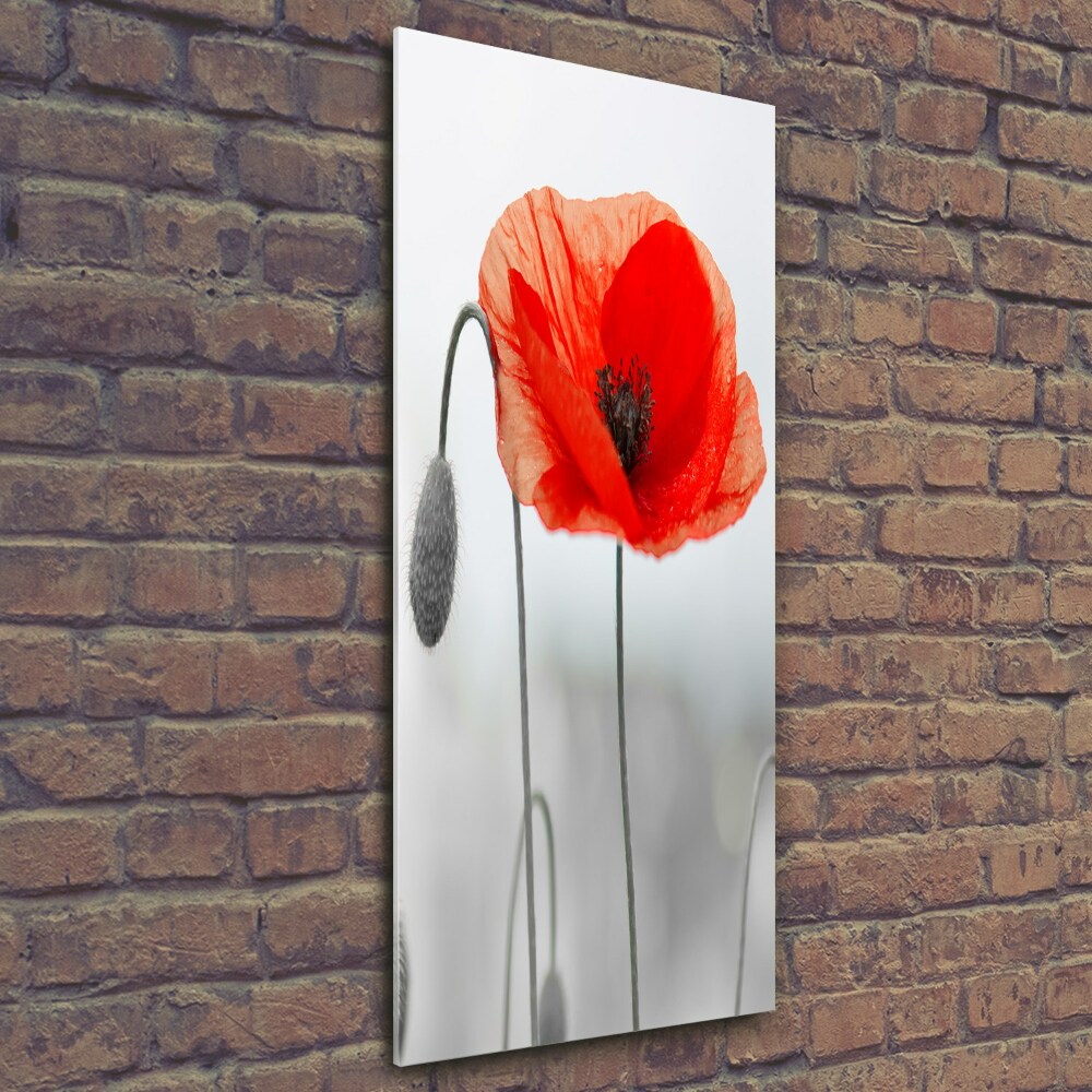 Glass art picture Field poppies