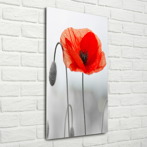 Glass art picture Field poppies