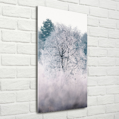 Glass wall art Forest in winter