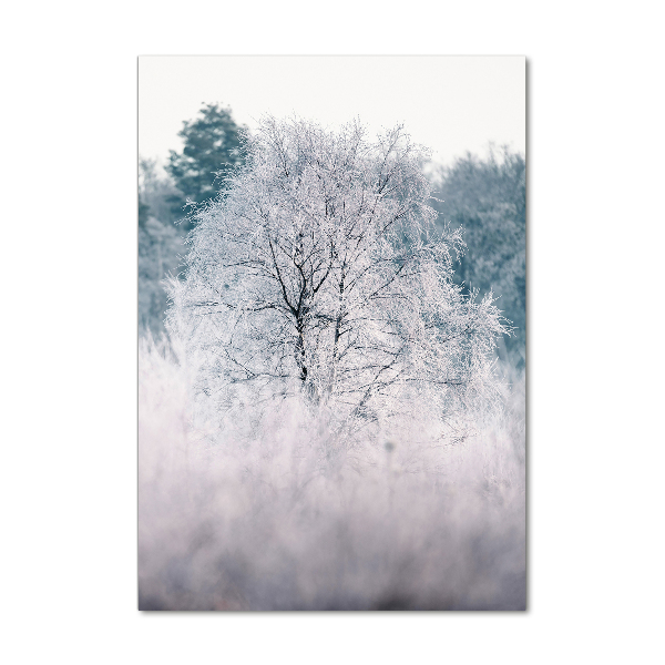 Glass wall art Forest in winter