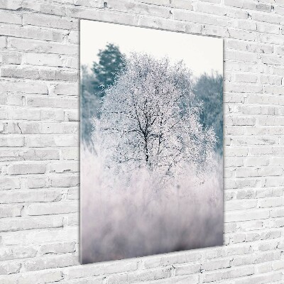 Glass wall art Forest in winter