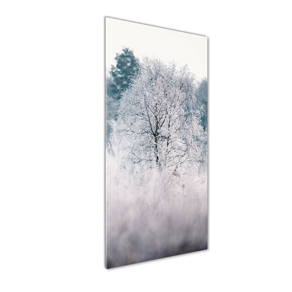 Glass wall art Forest in winter