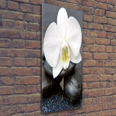 Wall art on glass Orchid and stones