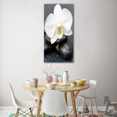 Wall art on glass Orchid and stones