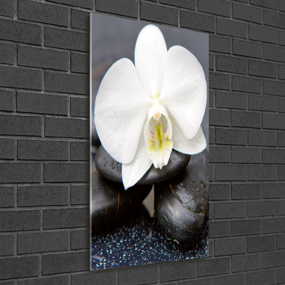 Wall art on glass Orchid and stones