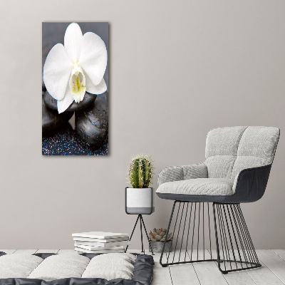 Wall art on glass Orchid and stones