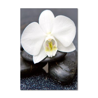 Wall art on glass Orchid and stones