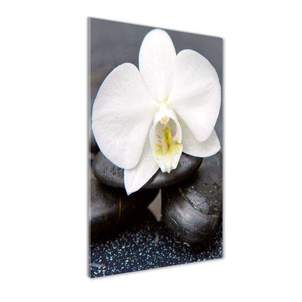 Wall art on glass Orchid and stones