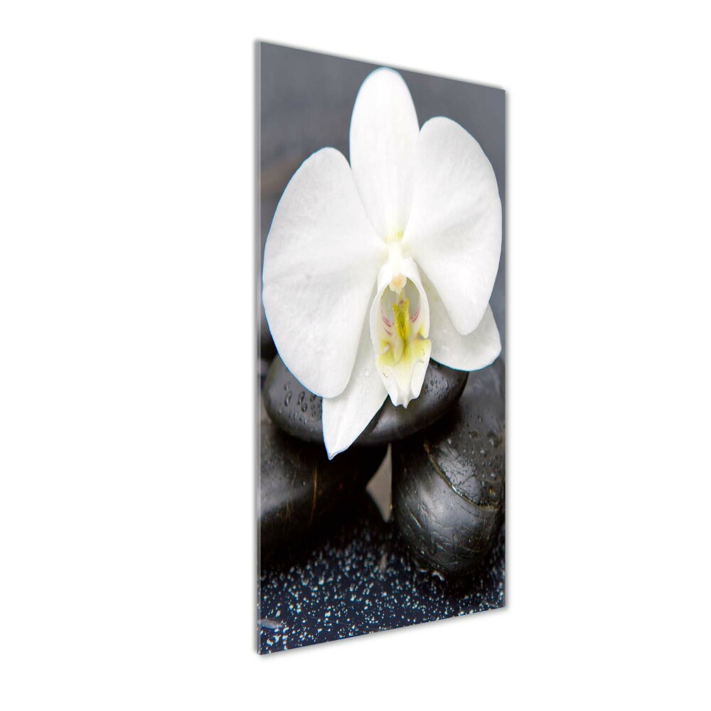 Wall art on glass Orchid and stones