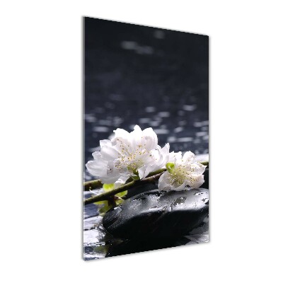 Wall art on glass Flowers and stones