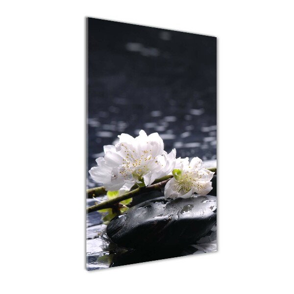 Wall art on glass Flowers and stones