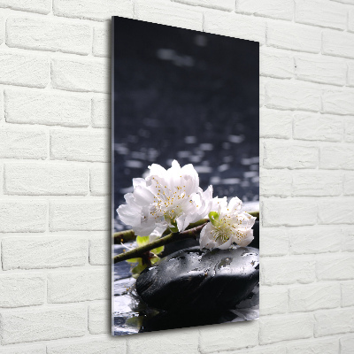 Wall art on glass Flowers and stones