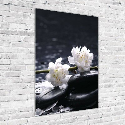 Wall art on glass Flowers and stones