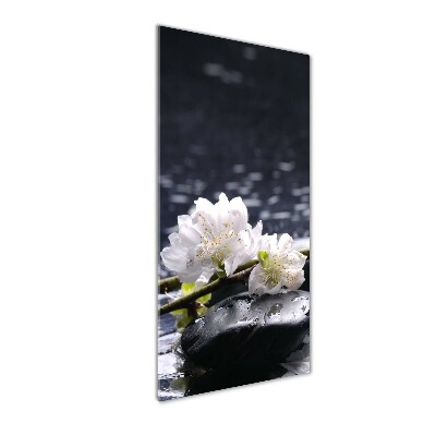 Wall art on glass Flowers and stones