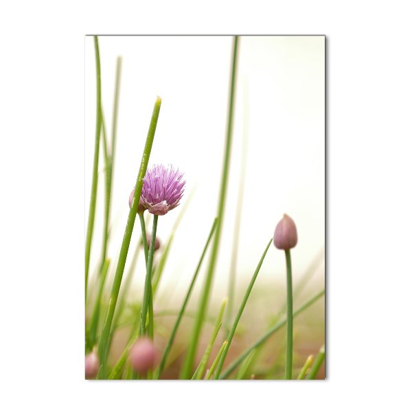 Print on a a glass Chives