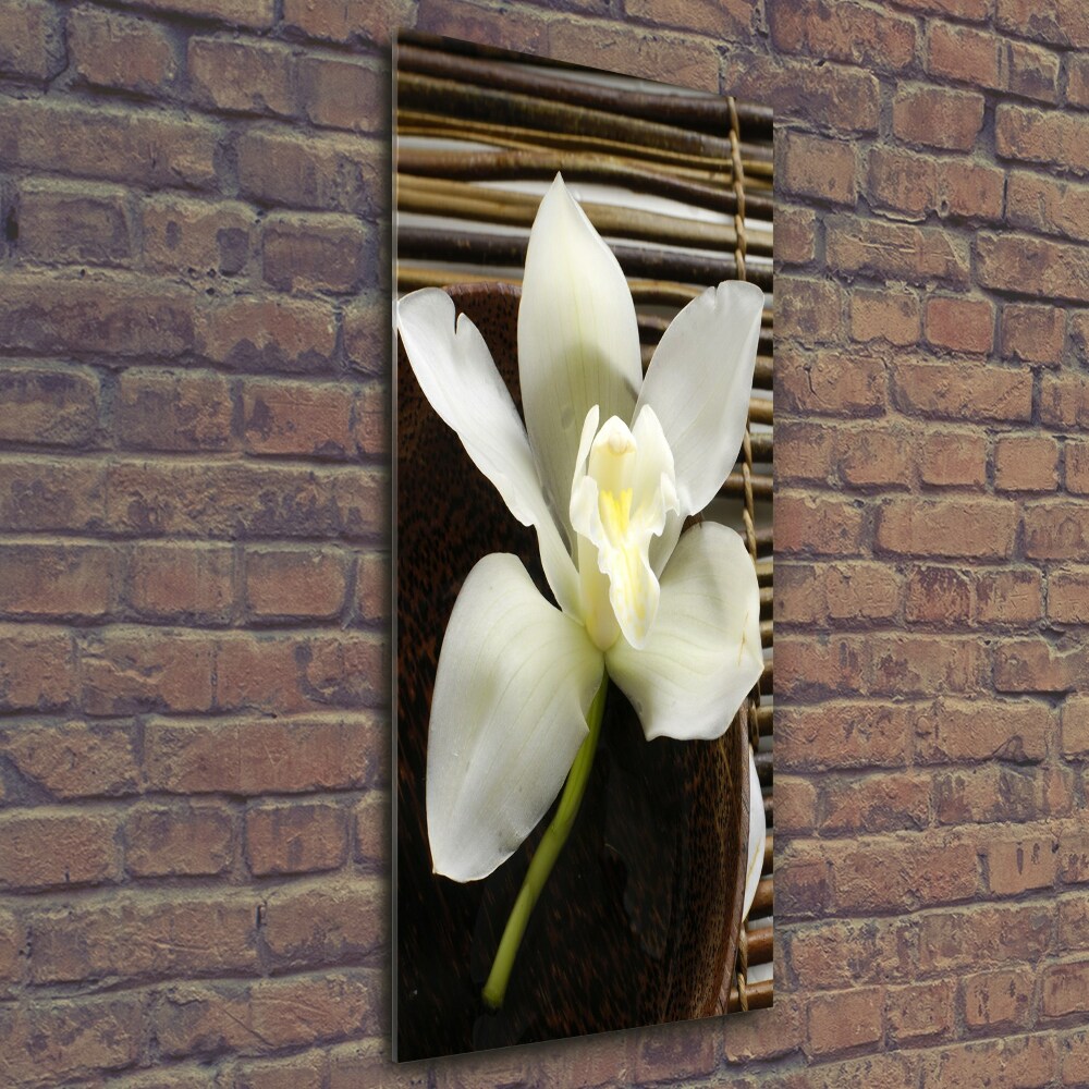 Wall art on glass Orchid