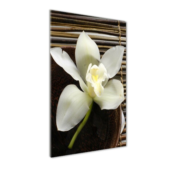 Wall art on glass Orchid