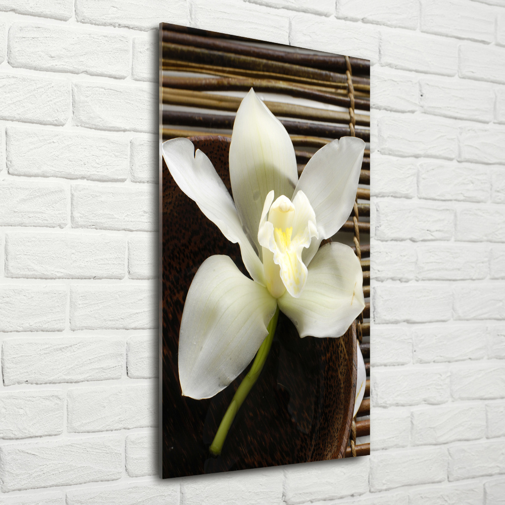 Wall art on glass Orchid