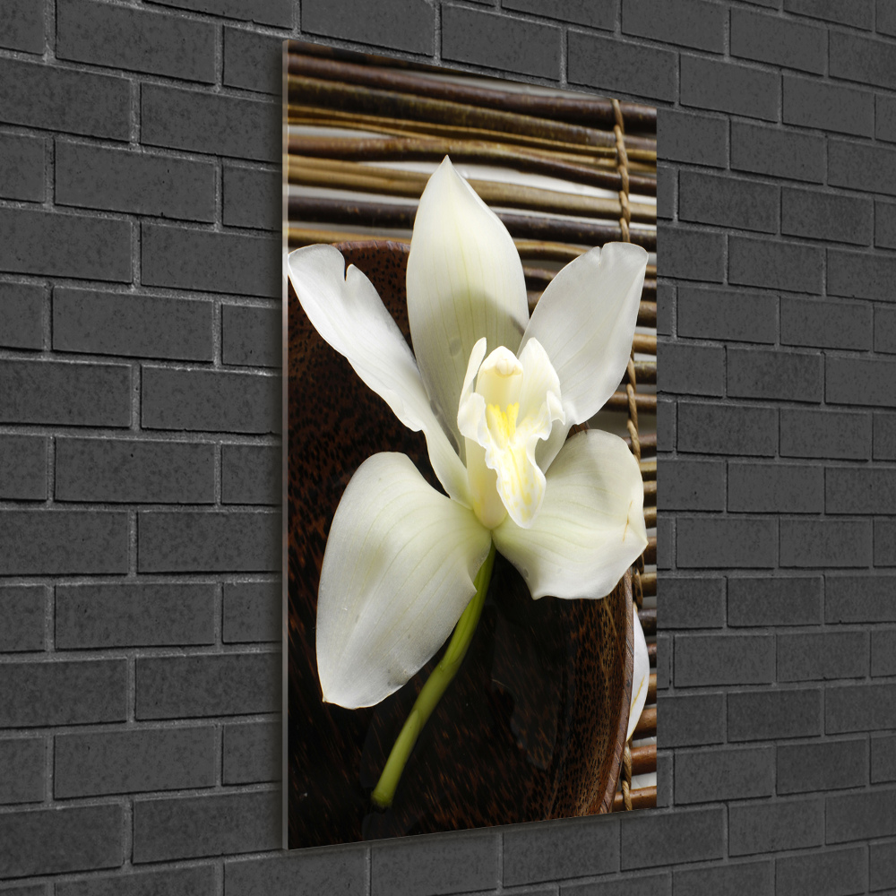 Wall art on glass Orchid