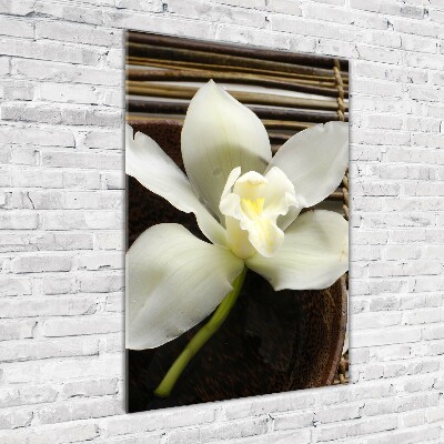 Wall art on glass Orchid