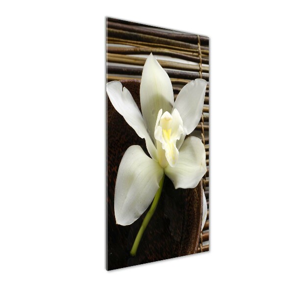 Wall art on glass Orchid