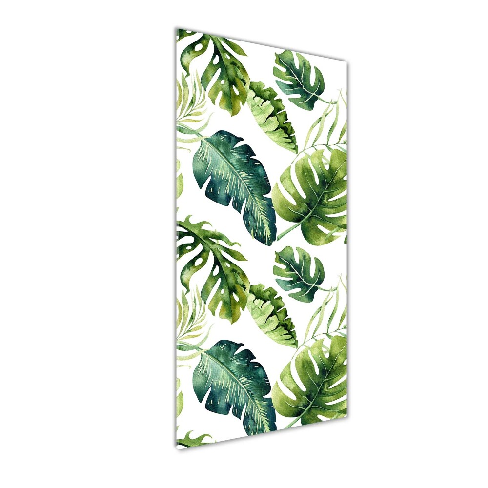 Wall art on glass Tropical leaves