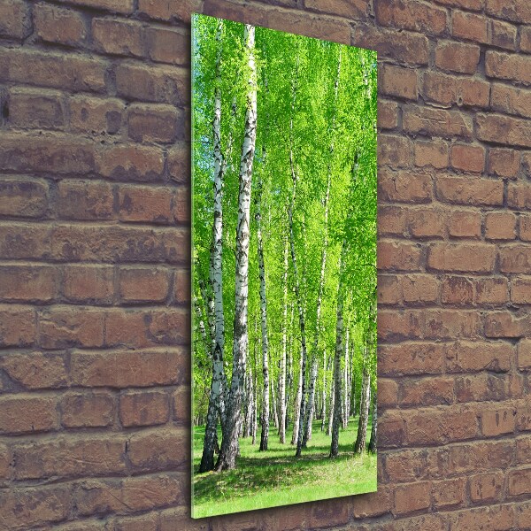 Glass wall art Birch forest