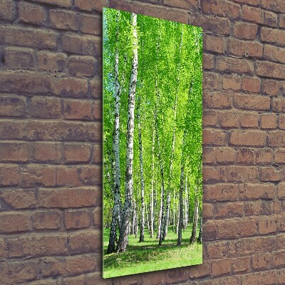 Glass wall art Birch forest