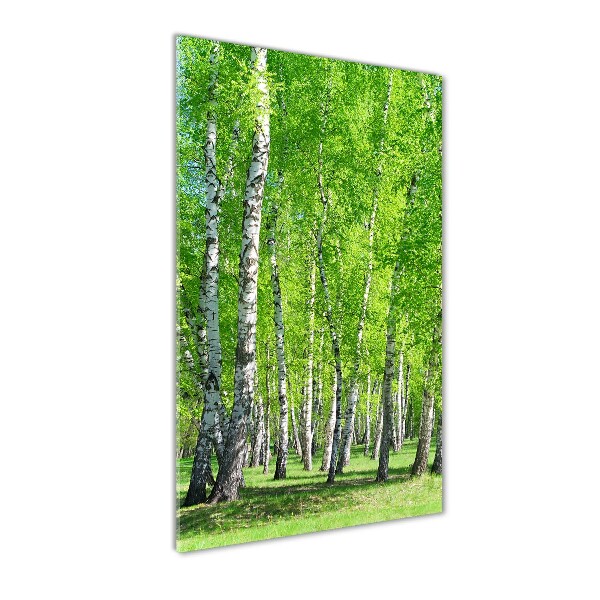 Glass wall art Birch forest