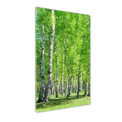 Glass wall art Birch forest