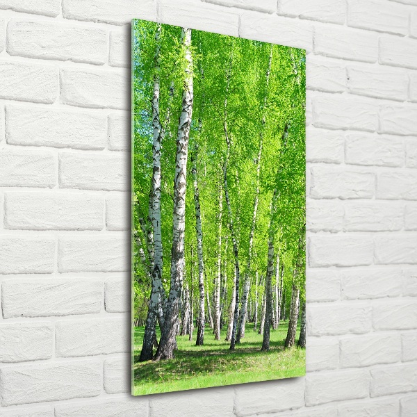 Glass wall art Birch forest