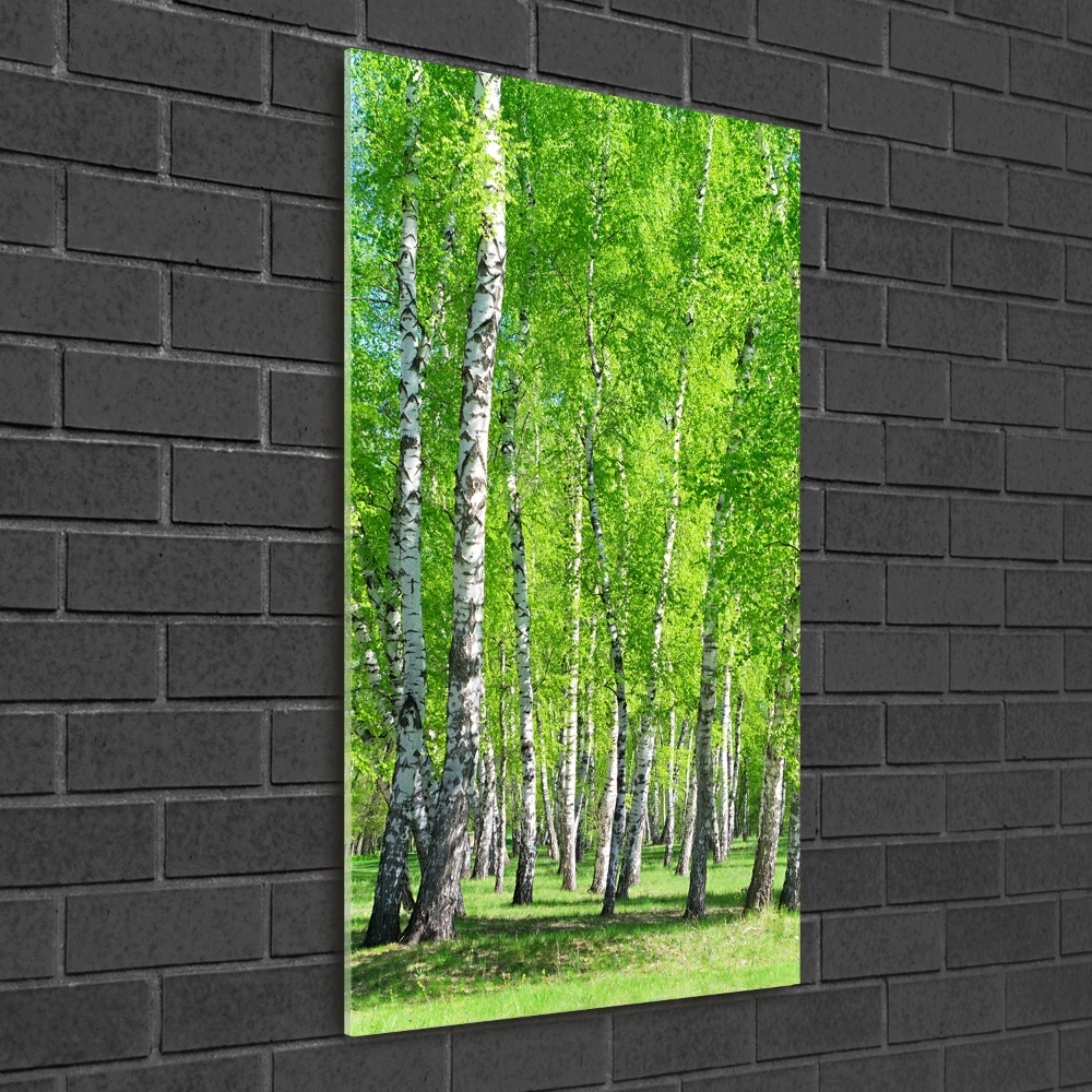 Glass wall art Birch forest