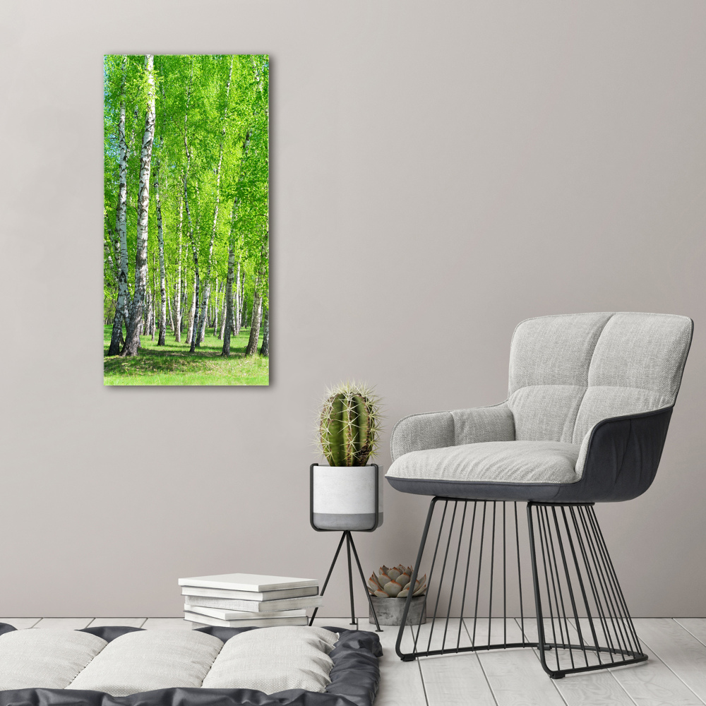 Glass wall art Birch forest