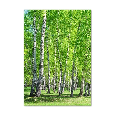 Glass wall art Birch forest