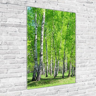 Glass wall art Birch forest