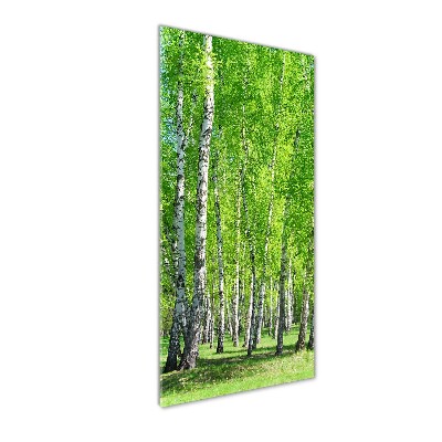 Glass wall art Birch forest