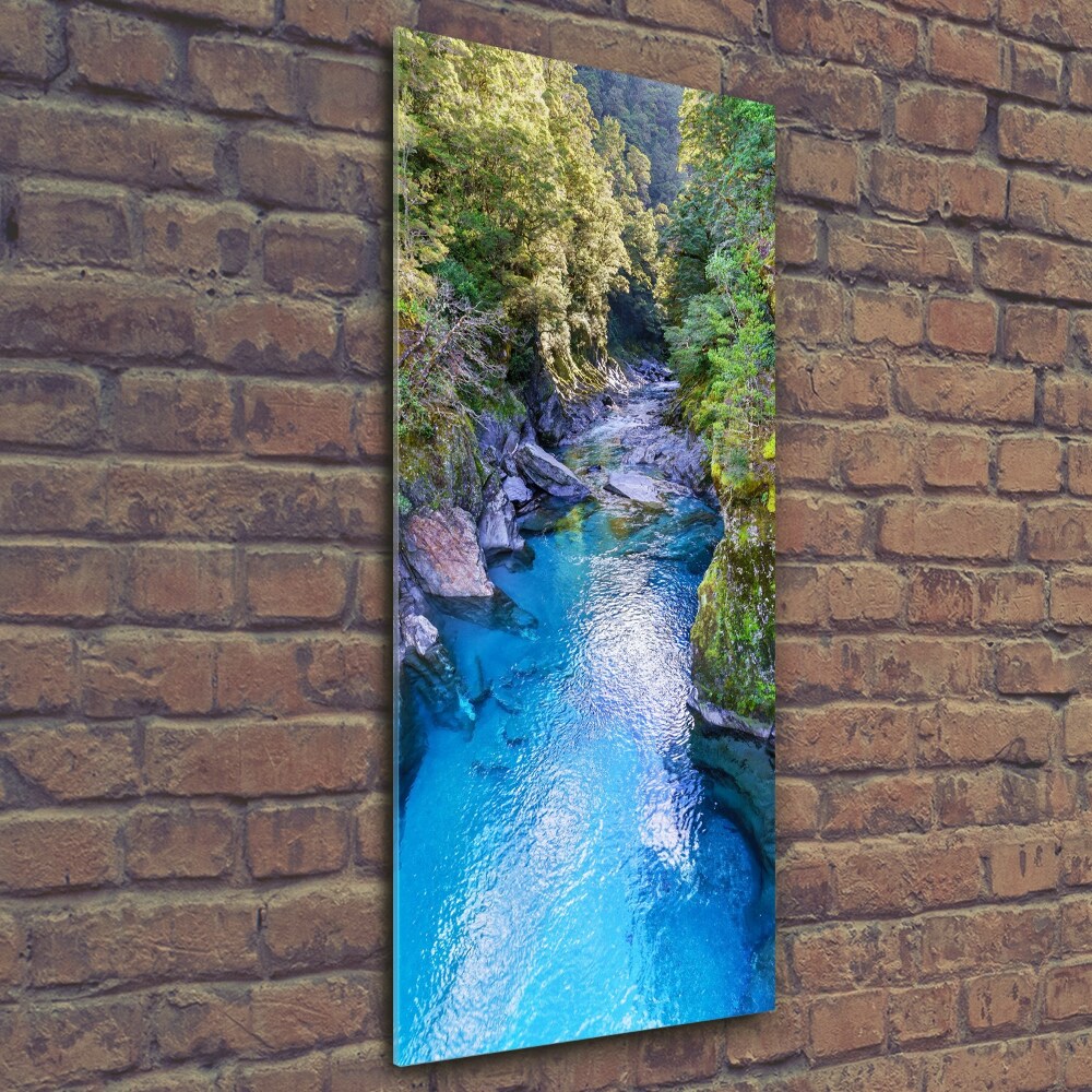 Glass wall art River in the forest