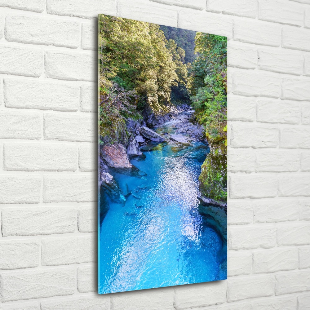 Glass wall art River in the forest