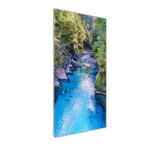 Glass wall art River in the forest