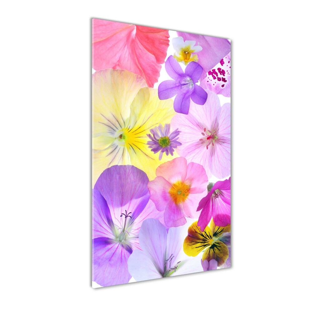 Wall art on glass Colorful flowers