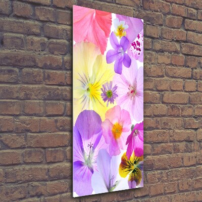 Wall art on glass Colorful flowers